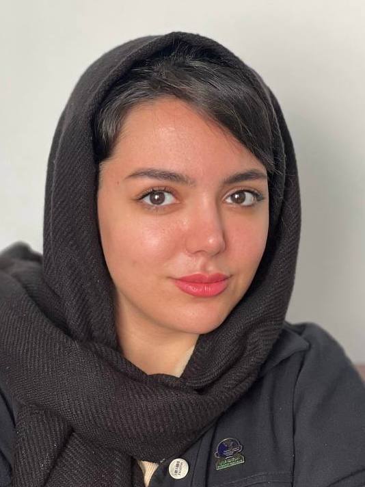 Negin Norikhani - Communications Officer at Emertat Farabar